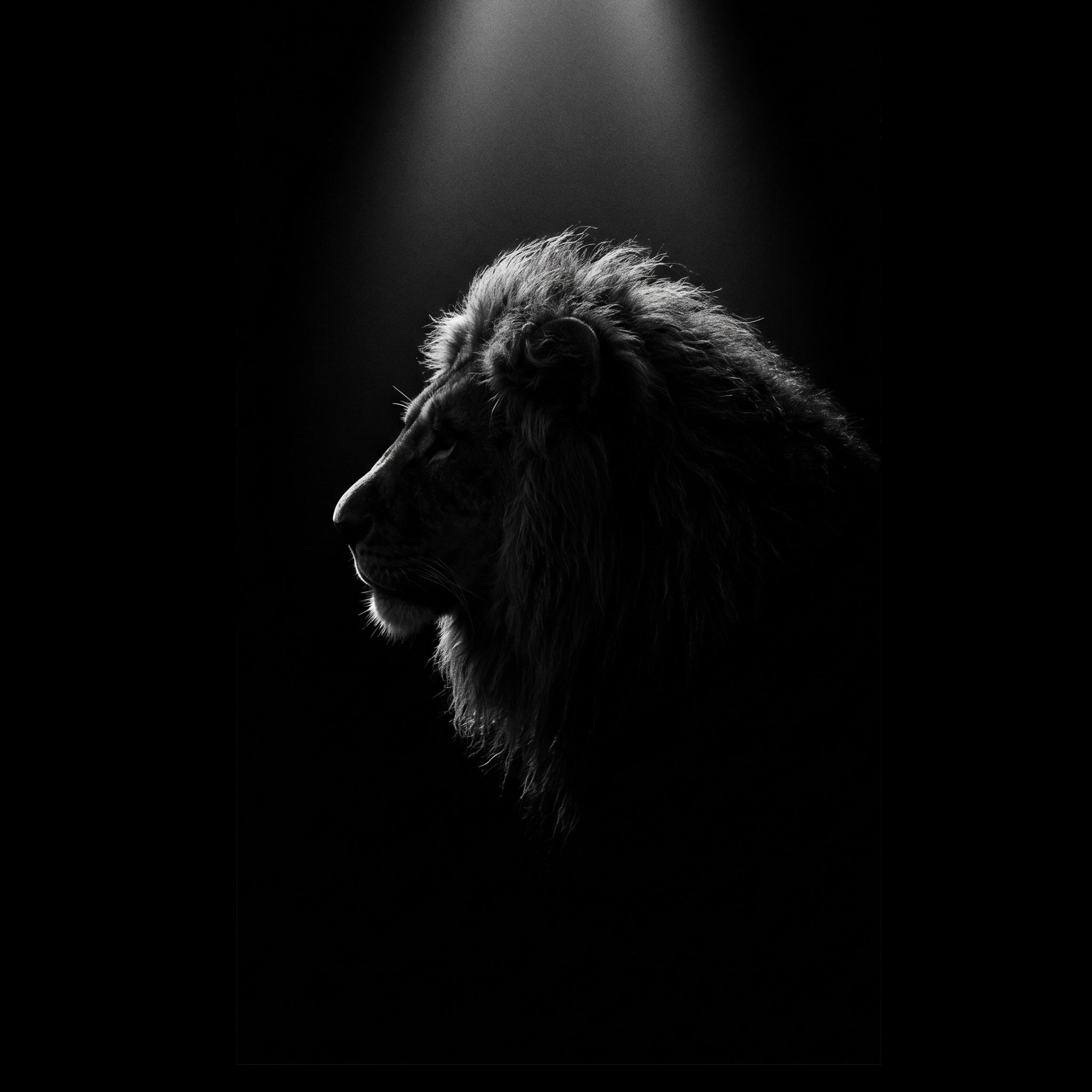 Cannes (Creative Seit 2010)