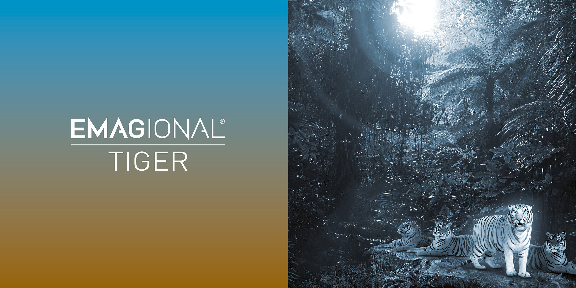 EMAGIONAL® — Markenwelt
